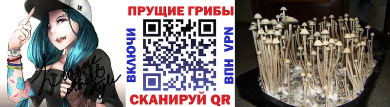 Псилоцибиновые грибы Psilocybine cubensis  мега ССЫЛКА  Лангепас 